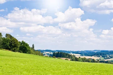 Fototapete Rund agriculture landscape © kubais