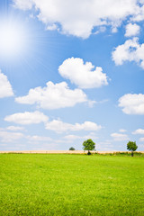 agriculture landscape