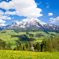 alpine landscape