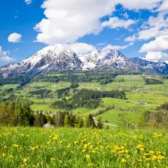 Foto op Canvas alpine landscape © kubais