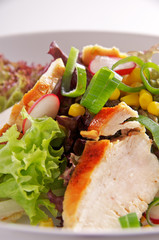 Gegrillte Hähnchenbrust an einem gemischten Salat