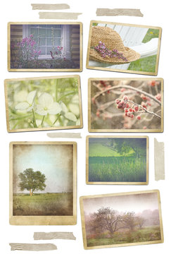 Collection of seasonal photos in vintage frames