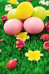 Fototapeta na wymiar Easter eggs in green