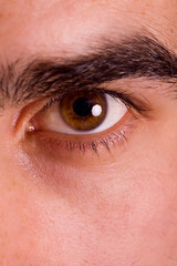 Obraz premium Macro shot of man's eye