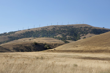 Fototapeta premium alternative fuel wind turbines