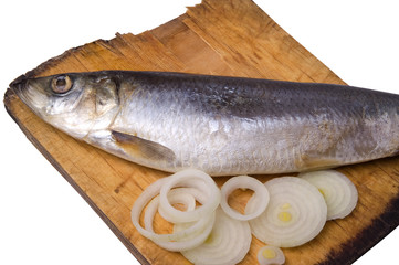 Herring with onion on old wooden board