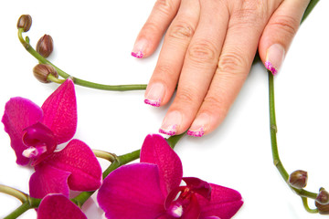 mano di donna con orchidea