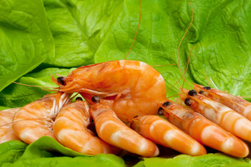 Fresh shrimp on lettuce leaf