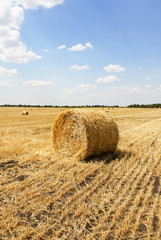 Straw bales in a field with blue sky