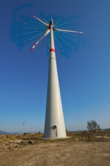 wind farm