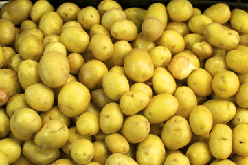 Obst- und Gemüsehändler auf dem berühmten Markt,  Mercat de Sant Josep de la Boqueria in Barcelona