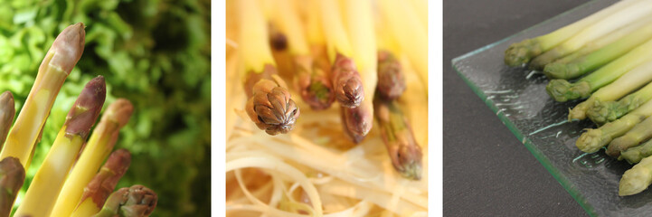 ASPERGES
