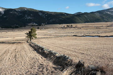 Naklejka premium Prairie de fauche dans le capcir,Pyrénées orientales