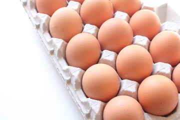 再生紙のトレイと赤卵