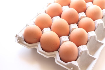 生みたて卵