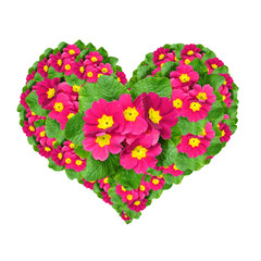 flower heart isolated