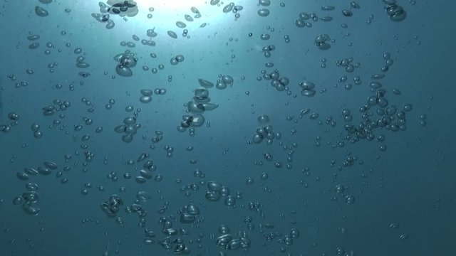 motion background underwater