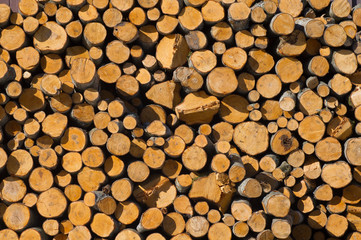 Pile of wood