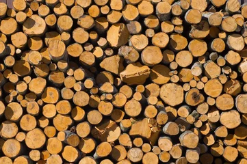 Möbelaufkleber Pile of wood © makaule
