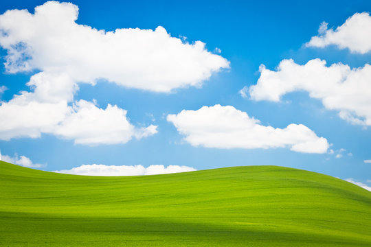 green field meadow with blue sky and white clouds