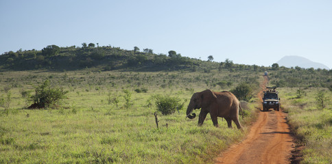 Kenia Africa _  Photo © Herby Meseritsch © Herby Meseritsch