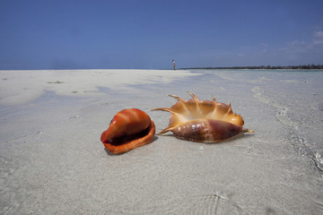 Kenia Africa _  Photo © Herby Meseritsch