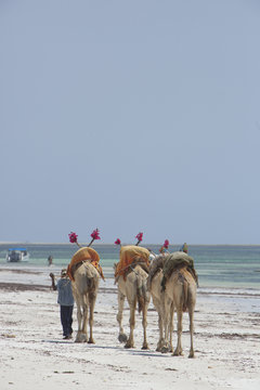 Kenia Africa _  Photo &copy; Herby Meseritsch