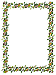Color flower frame