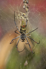 Kenia Africa _  Photo © Herby Meseritsch