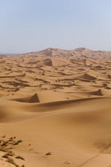 Fototapeta na wymiar Wydmy pustyni w Maroku