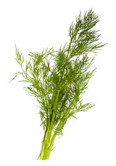 Dill