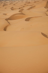Desert sand