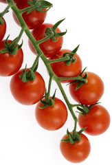 grappe de petites tomates cerises