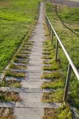 green grass downstairs