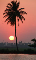 coucher de soleil sur les backwaters