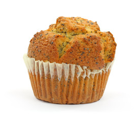 Poppy seed muffin on white background
