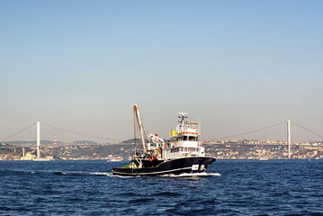 Fisher cutter in Bosporus