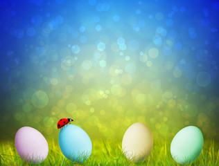 Fototapeta premium Colorful Easter Eggs on green grass with a ladybug