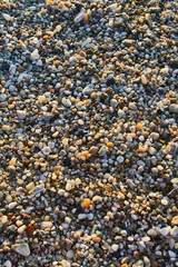 Small sea pebble