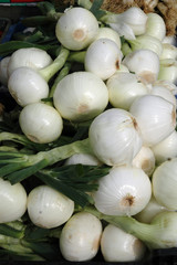 White onions on market in Benalmadena Costa del Sol