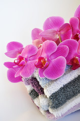 Obraz na płótnie Canvas Orchideen auf Handtuch
