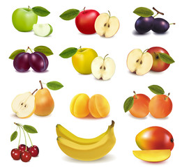 Group with different sorts of fruit. Vector.
