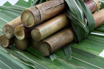 botte de cannes à sucre