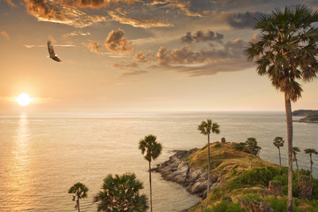 Obrazy  wybrzeże palmowe