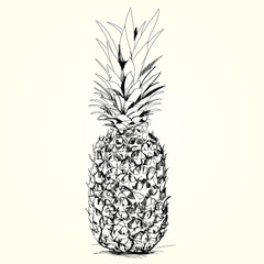 Pineapple Illustration - 30888315