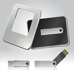 Vector USB Flash Drive and Container Box - 30888326