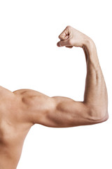 Close up of man's muscular arm - 30890390