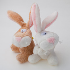 Two plush rabbits on white background