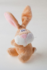 Plush brown rabbit on white background - 30890394