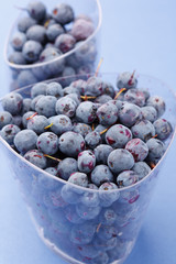 blueberries in the dish